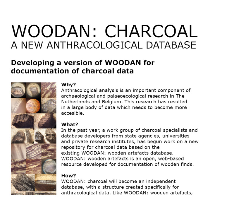 WOODAN Trunk Codes thumbnail