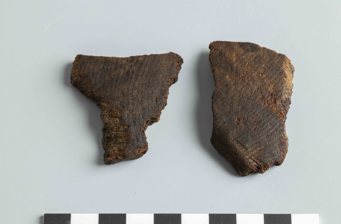 File IEDE17_4429_IMG_1925.jpg